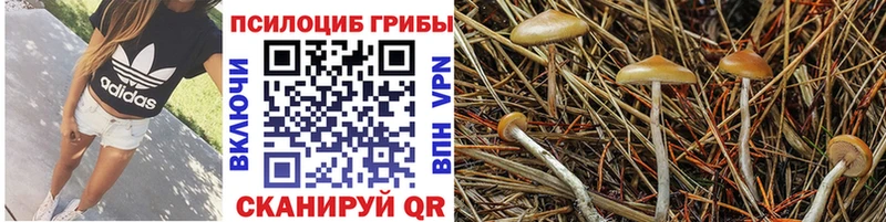 Галлюциногенные грибы прущие грибы blacksprut как зайти Котовск