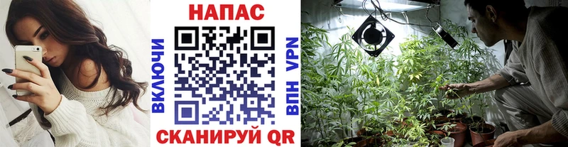 Шишки марихуана Ganja  Котовск 